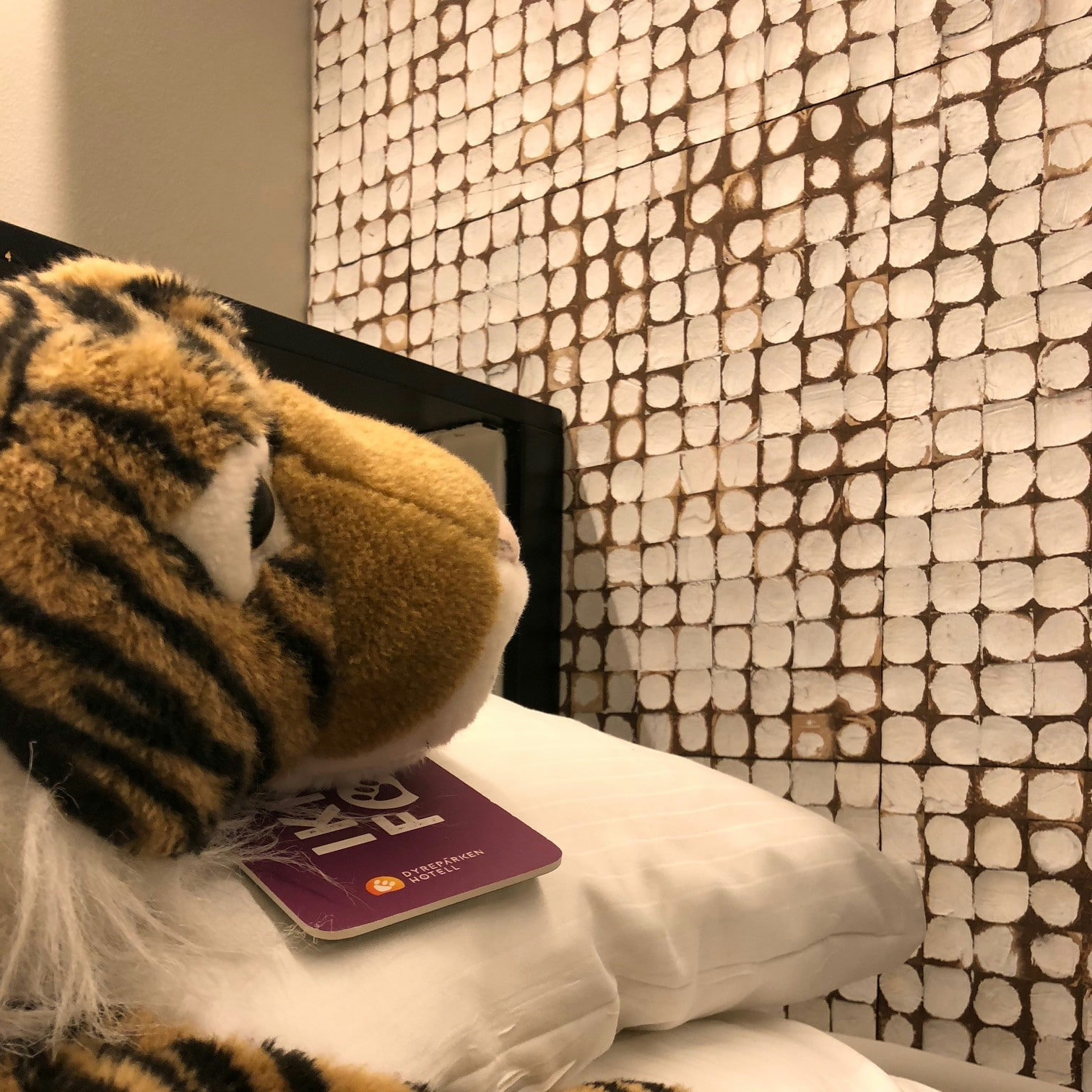 Kokosnøtt fliser i hvit rustikk på veggen i hotell suite