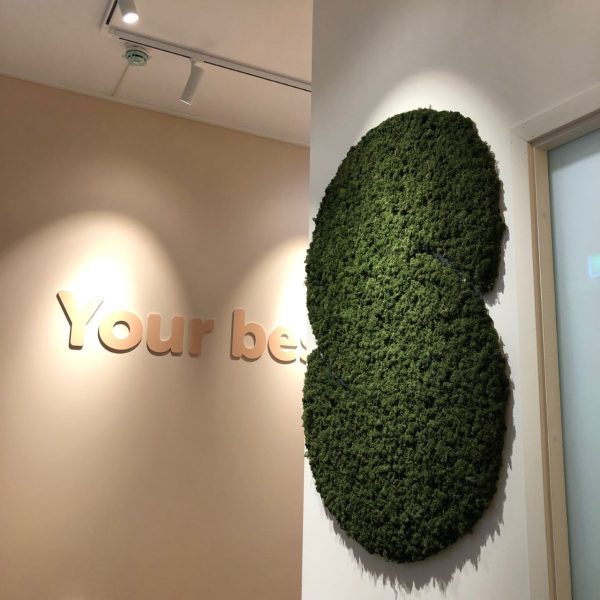 Dekorativ grønn mose logo på kontoret til Squeeze