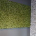 Grønn mose vegg