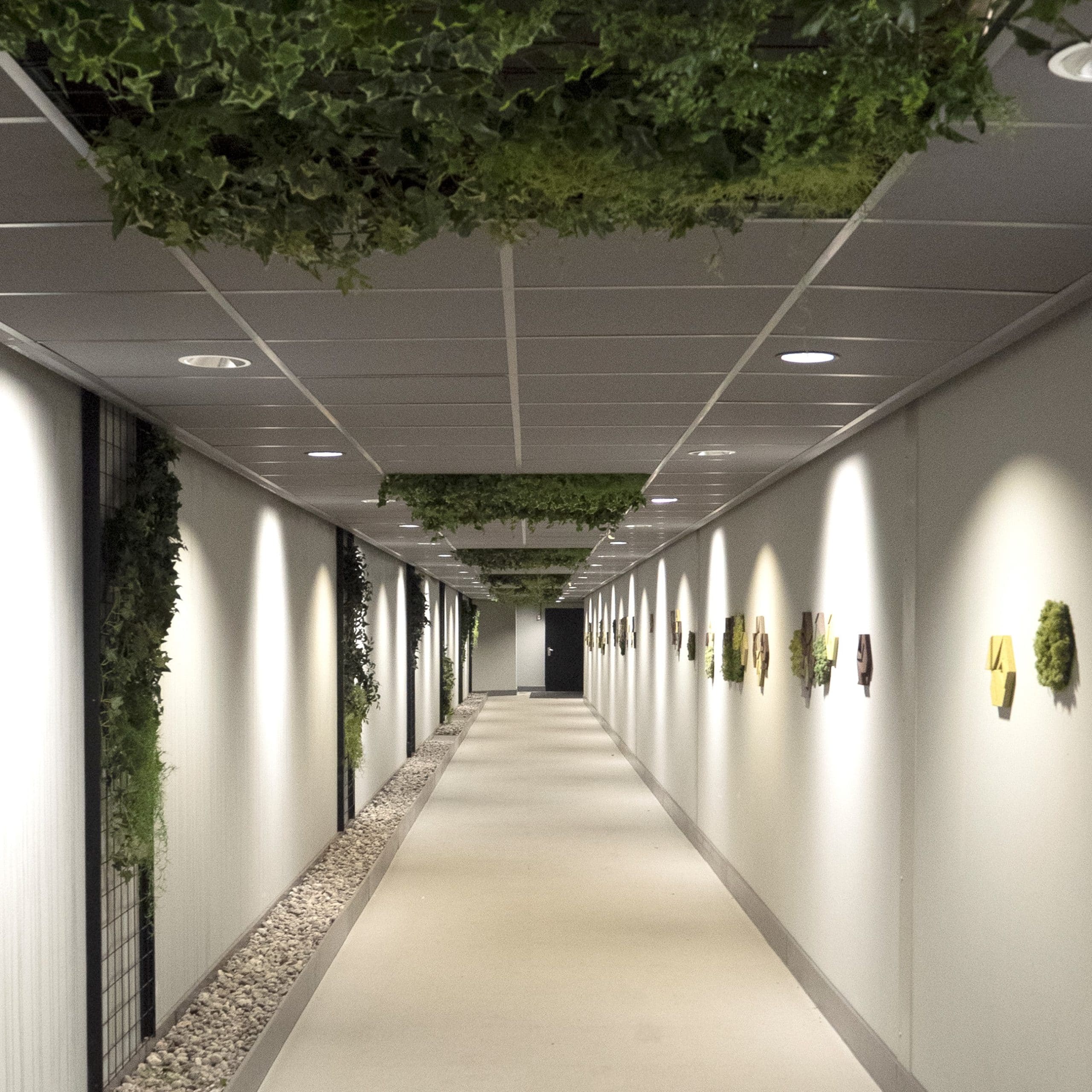Frodig korridor med mose og kork fliser på veggene