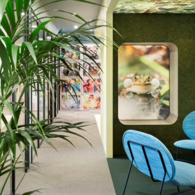 Praktisk kork vegg i grønn farge på kontor