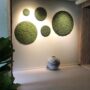 Mosesirkler i ulike størrelser og grønnfarger på hub wall-it