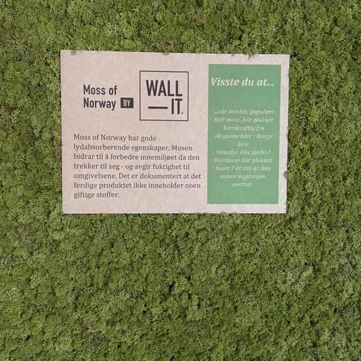 Moss of Norway på Hub WALL-IT