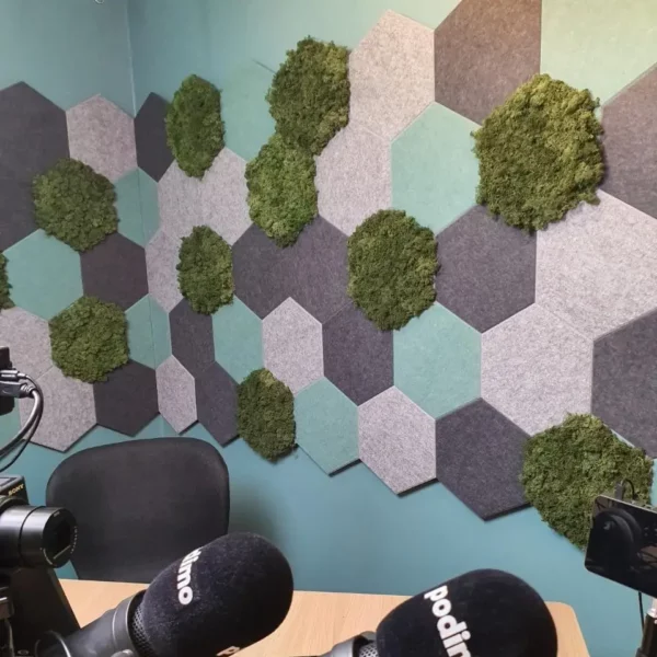 Hexagon fliser i mose og lyddempende tekstil på podcast rom