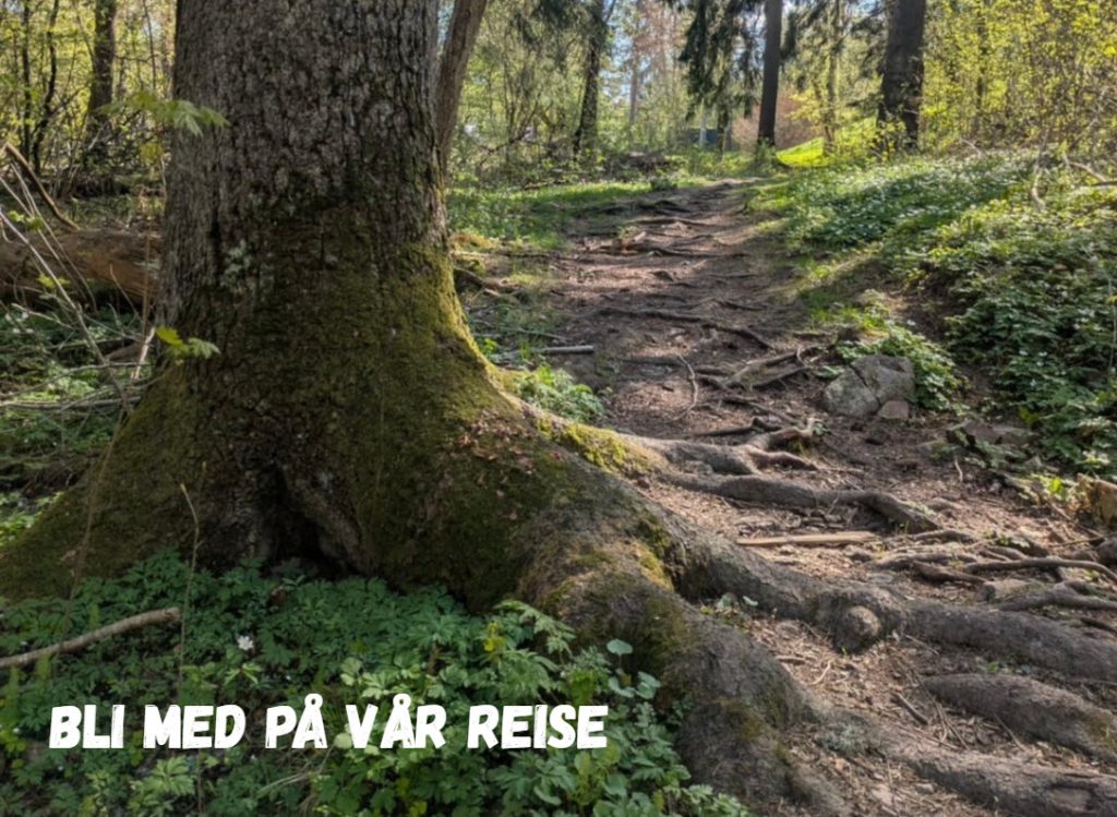 Elsker du lukta av treverk og andre naturmaterialer?