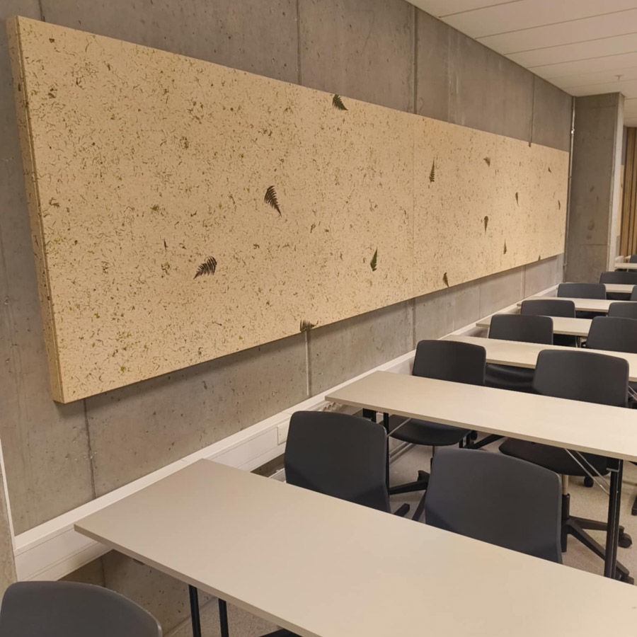 Lyddemping med akustikkbilder på Handelshøyskolen i Bergen