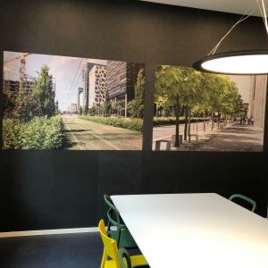 Fotoprint på akustikkpanel på kontor i Oslo